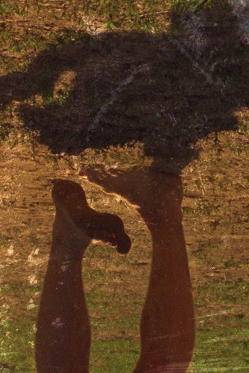 Orange Trill movie poster