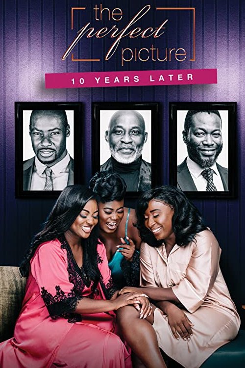The Perfect Picture: Ten Years Later movie poster
