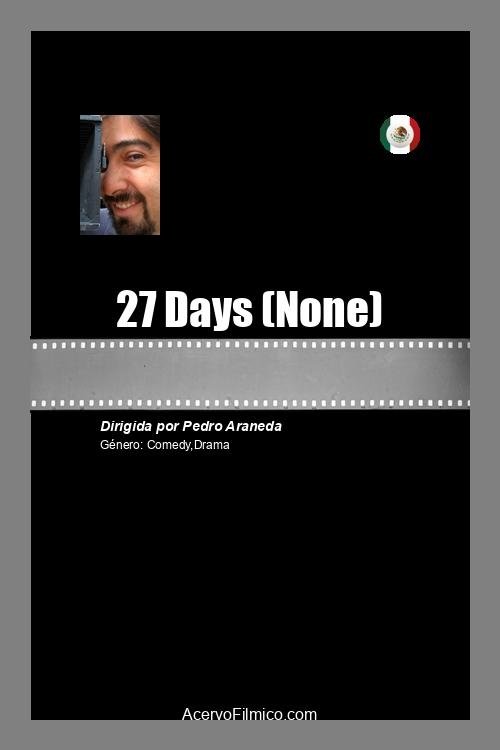 Poster do filme 27 Days