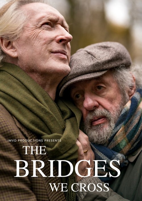 The Bridges We Cross movie poster