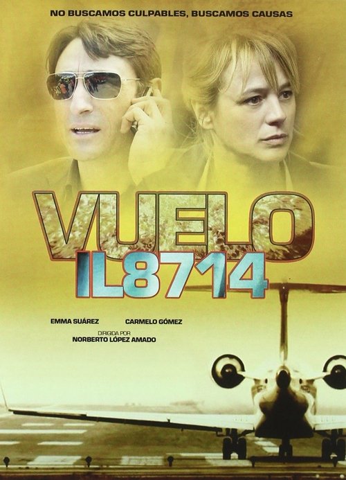 Flight 8714: Take Off to Disaster tv show poster