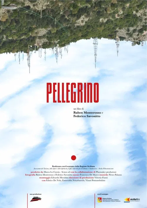Poster do filme Pellegrino