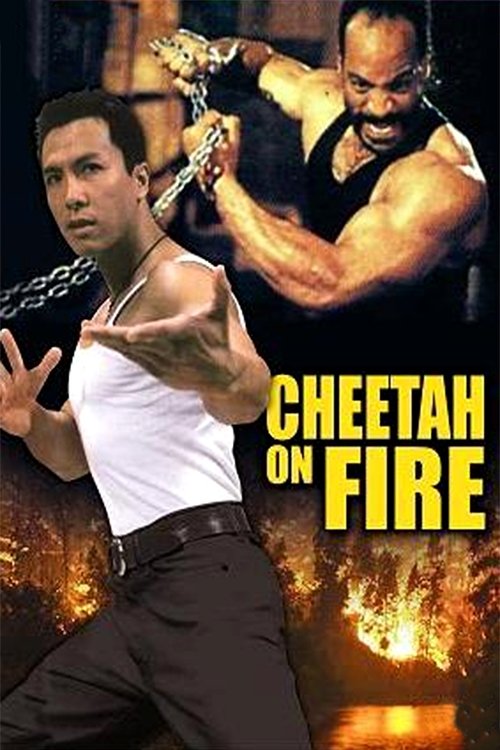 Cheetah on Fire movie poster