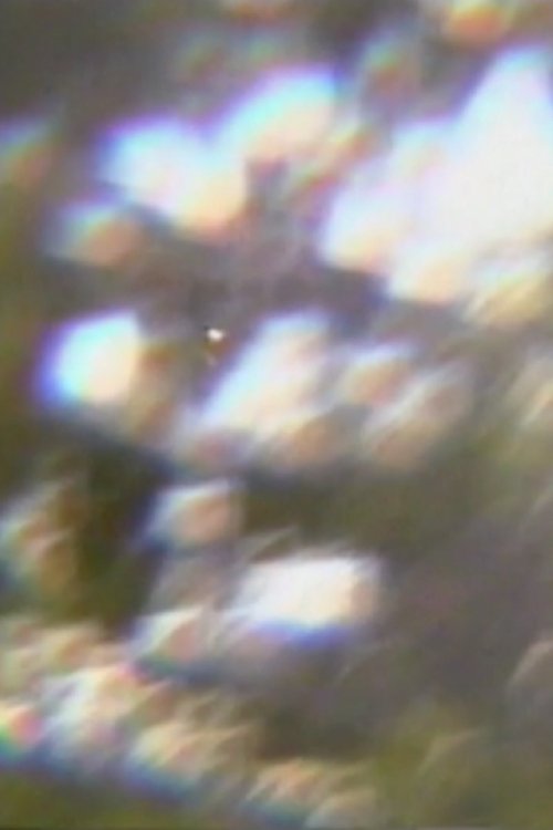 Poster do filme Omen