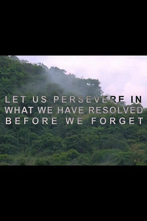 Let Us Persevere in What We Have Resolved Before We Forget movie poster