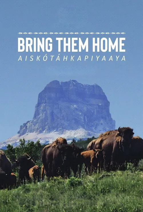 Bring Them Home movie poster