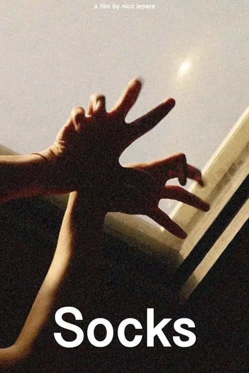 Socks movie poster