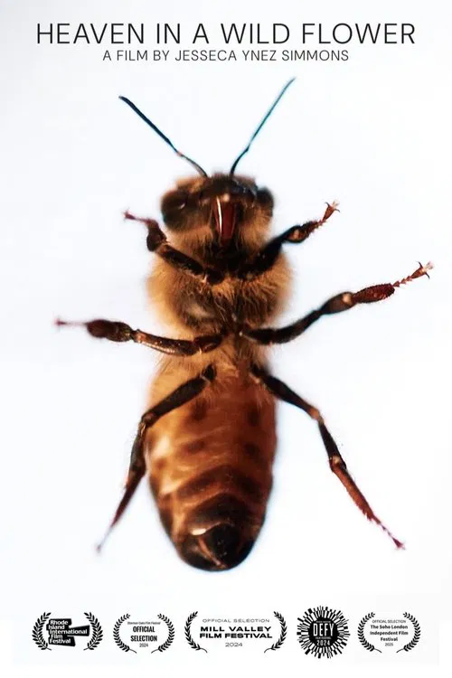 Heaven in a Wild Flower movie poster