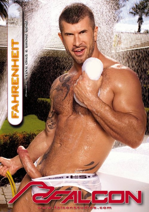 Fahrenheit movie poster
