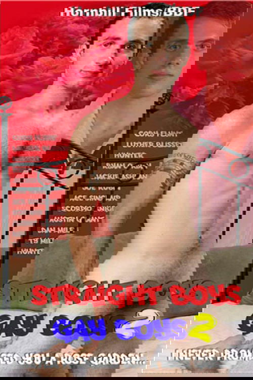 Straight Boys Gay Boys 2: I Never Promised You a Rose Garden movie poster