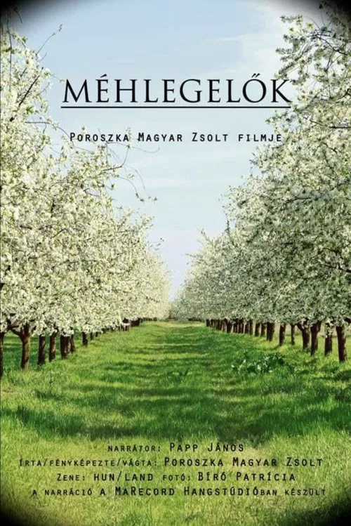 Poster do filme Méhlegelők