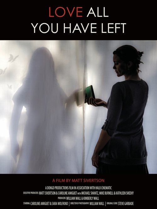 Poster do filme Love All You Have Left