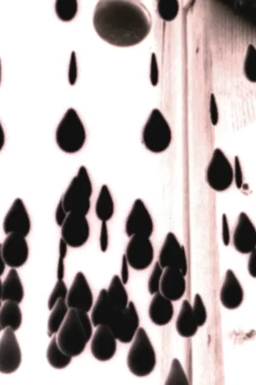 Something To Treasure movie poster