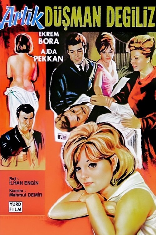 Artık Düşman Değiliz movie poster