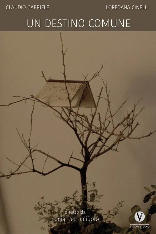 Poster do filme Un destino comune