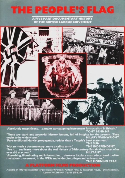 The People's Flag tv show poster