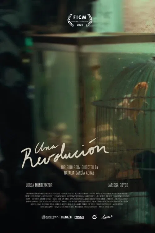 A Revolution movie poster