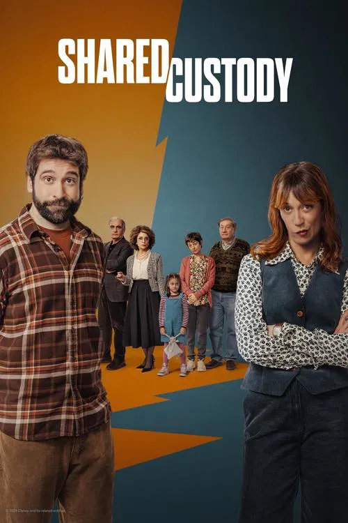 Shared Custody tv show poster