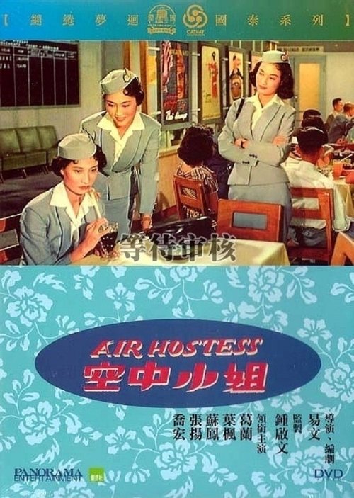 Air Hostess movie poster