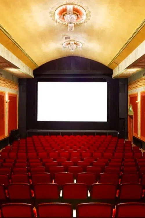 Reinhold Pettersson movie poster