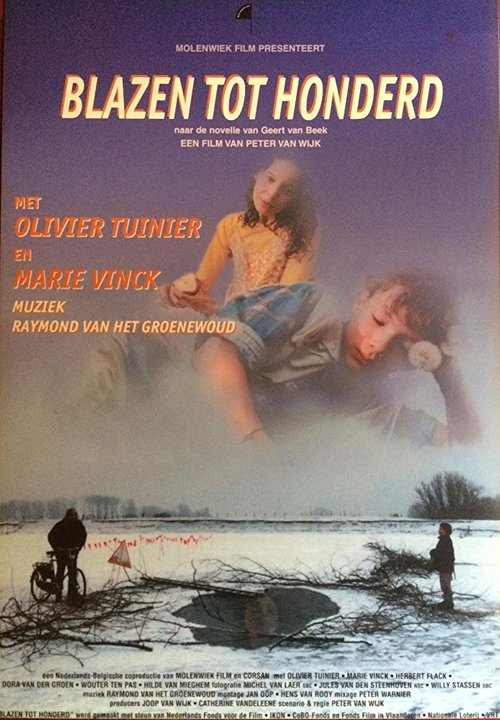 Poster do filme Blazen tot honderd