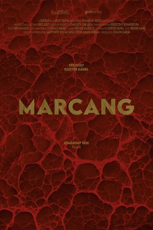 Poster do filme Blast