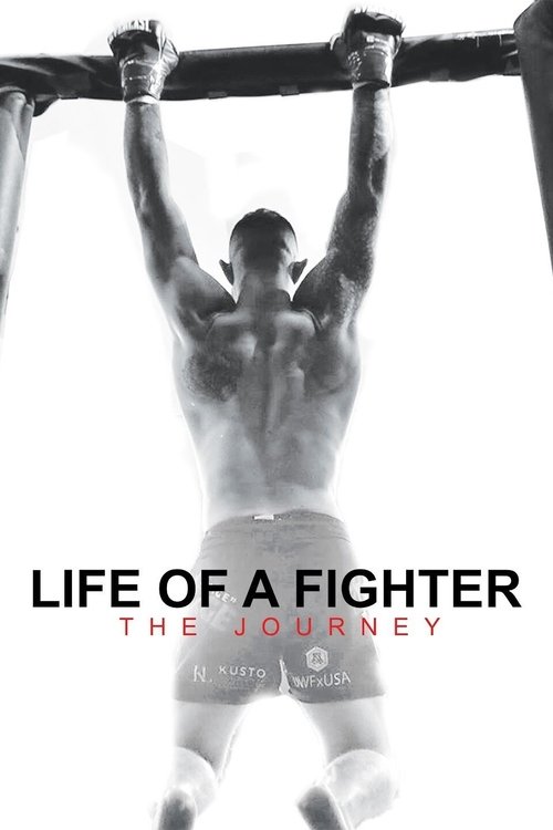 Life of a Fighter: The Journey movie poster