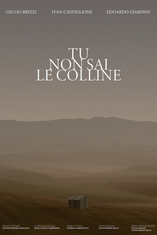 TU NON SAI LE COLLINE movie poster