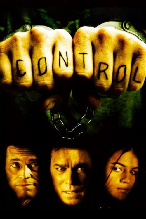 Control movie poster