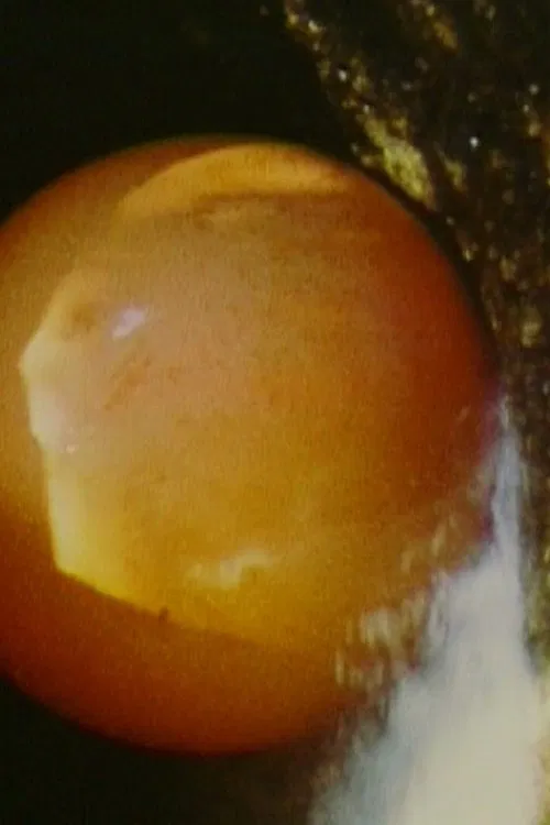 Balloon movie poster