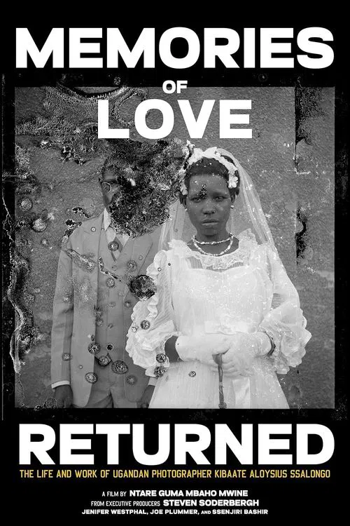 Poster do filme Memories of Love Returned