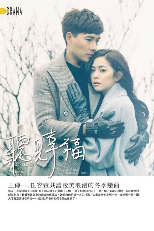 Someone Like You tv show poster