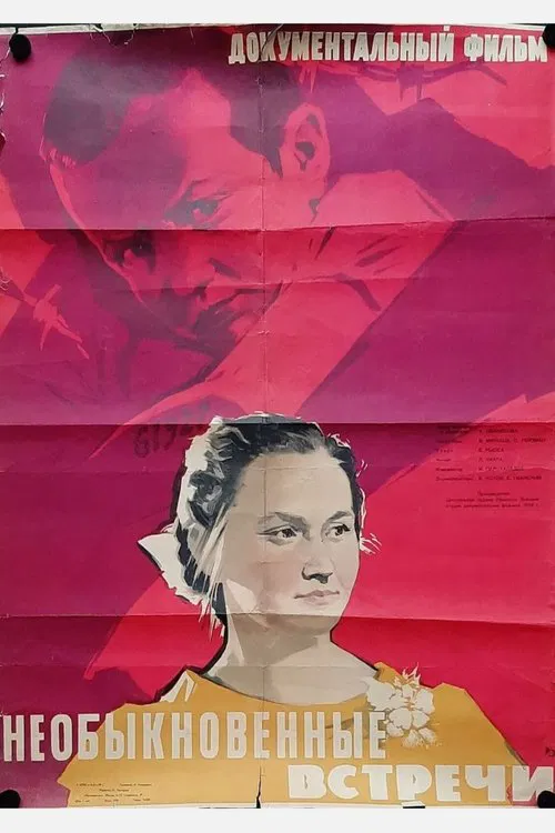 Poster do filme Extraordinary Meetings