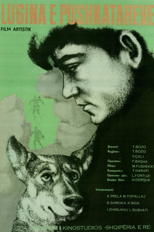 Valley of the Riflemen movie poster