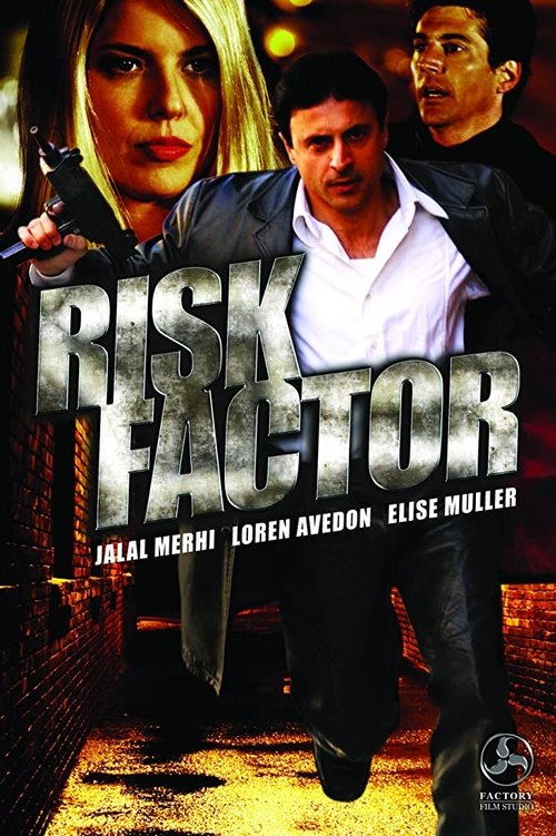 Risk Factor movie poster
