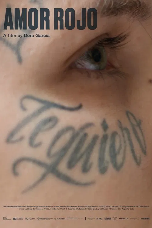 Poster do filme Red Love