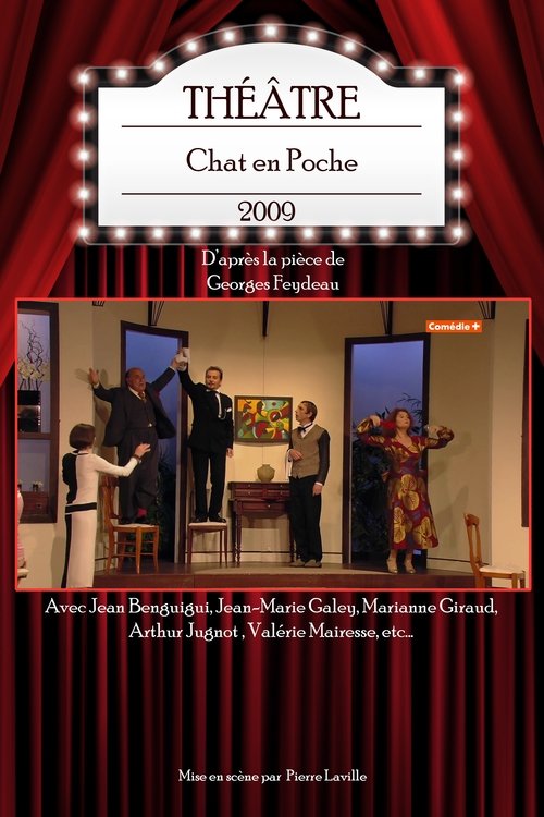 Chat en Poche movie poster