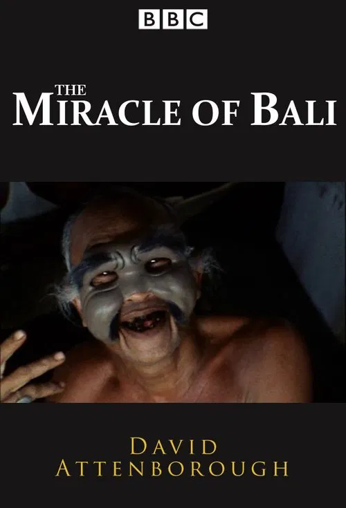 The Miracle of Bali tv show poster