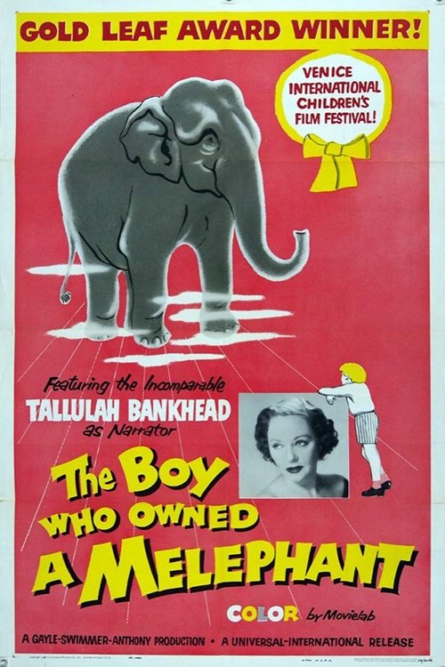 The Boy Who Owned a Melephant movie poster