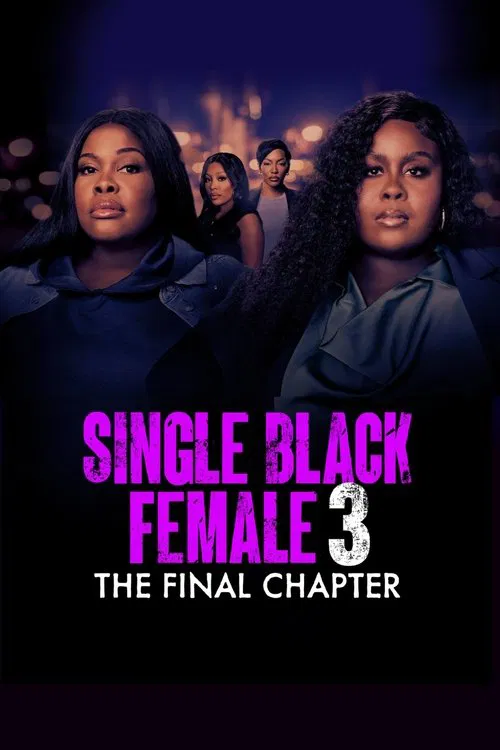 Single Black Female 3: The Final Chapter movie poster