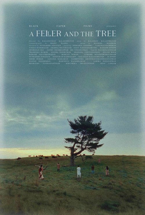 A Feller and the Tree movie poster