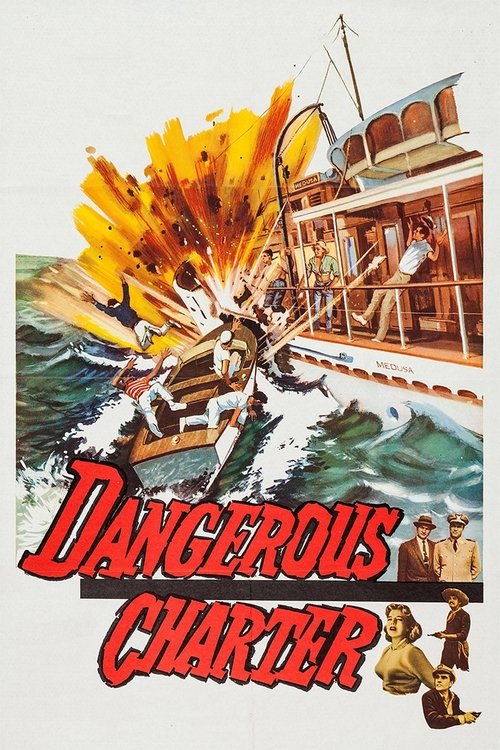 Dangerous Charter movie poster