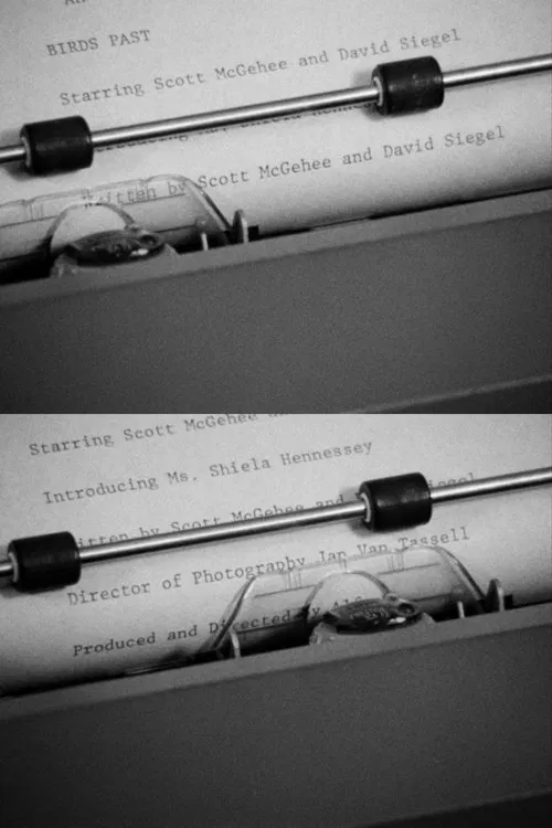 Birds Past movie poster