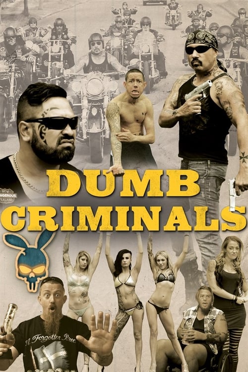 Dumb Criminals: The Movie movie poster