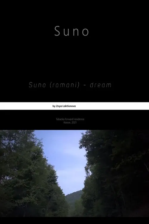 Suno movie poster