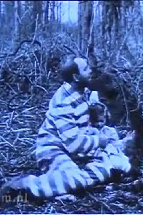 In Northern Forests movie poster
