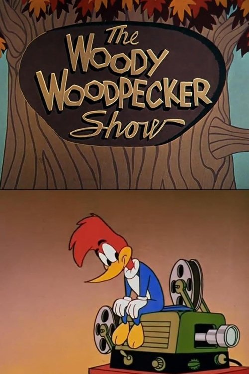 The Woody Woodpecker Show tv show poster