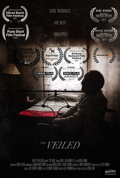 The Veiled movie poster