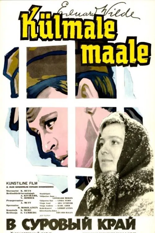 To a Cold Land movie poster