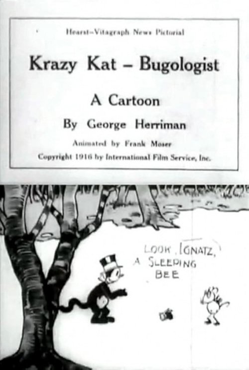 Poster do filme Krazy Kat, Bugologist